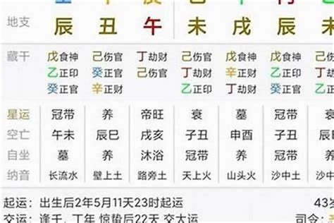 丁火日元|十天干命主白話解說